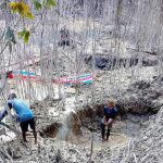 41ffee196ade62ebb4f29cbf17be900d3f480f9da7f623d5ffb50b4107f89a26.0