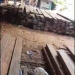 Dugaan Pembalakan Kayu Belian Ilegal di Sandai, Ketapang IMG-20251222-WA0024